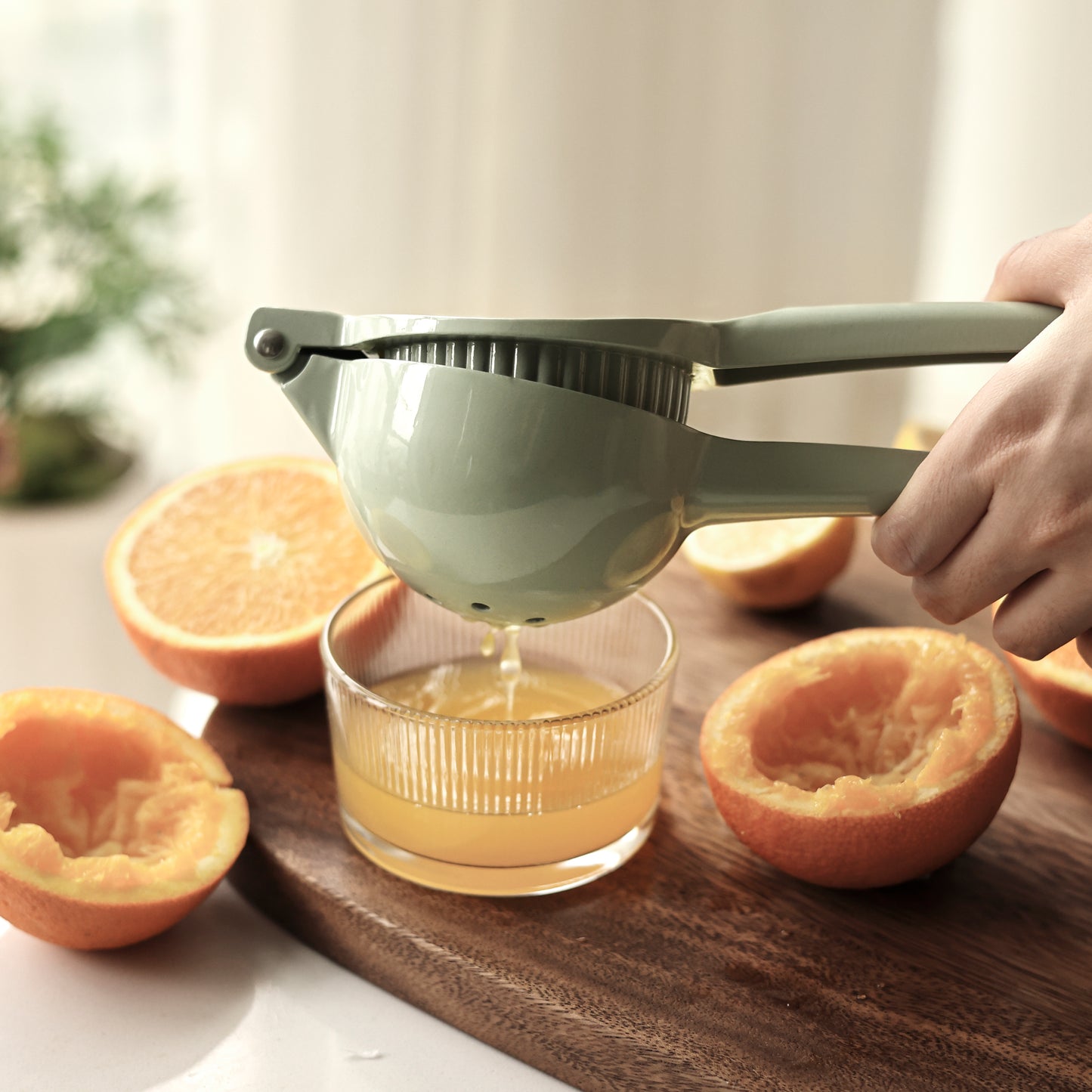 Orange juicer - عصارة البرتقال